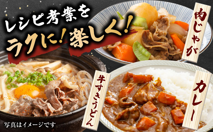 佐賀県産黒毛和牛切り落とし 500g×1P 吉野ヶ里町/石丸食肉産業 [FBX050]