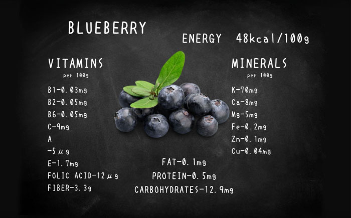 【限定50個】クリスマス限定☆植物性100％ Vegan Raw Cake blueberry（ブルーベリー/Mサイズ）お砂糖・小麦粉・乳製品不使用のスイーツ ヴィーガンローケーキ 【12月20～25日お届け】 吉野ヶ里町/どんどん良くなる [FCF071]