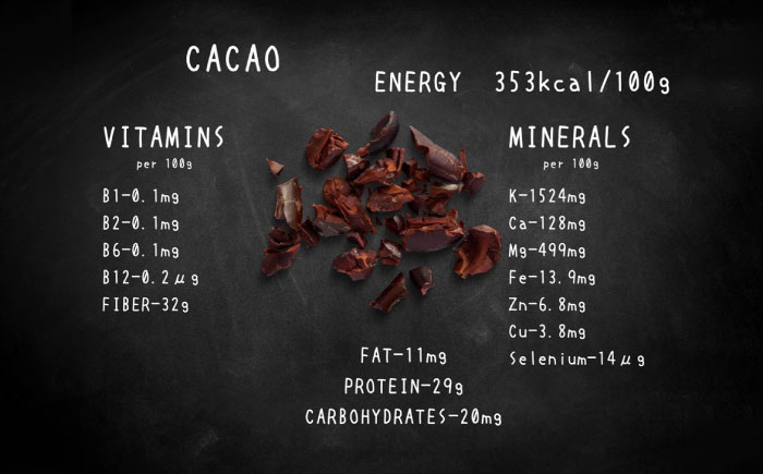 【限定50個】クリスマス限定☆植物性100％ Vegan Raw Cake Chocolate（チョコレート/Mサイズ）お砂糖・小麦粉・乳製品不使用のスイーツ ヴィーガンローケーキ 【12月20～25日お届け】 吉野ヶ里町/どんどん良くなる [FCF073]