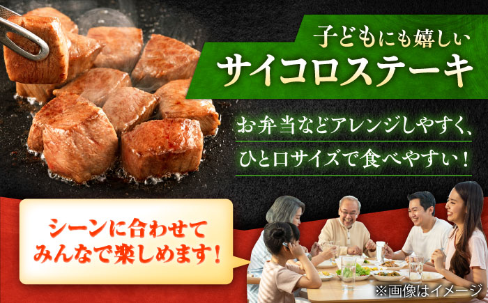 【全6回定期便】佐賀牛 赤身 希少部位 ヒレ セット (ステーキ180g×3 / サイコロステーキ400g)  吉野ヶ里町/やま田商店 [FCH027]