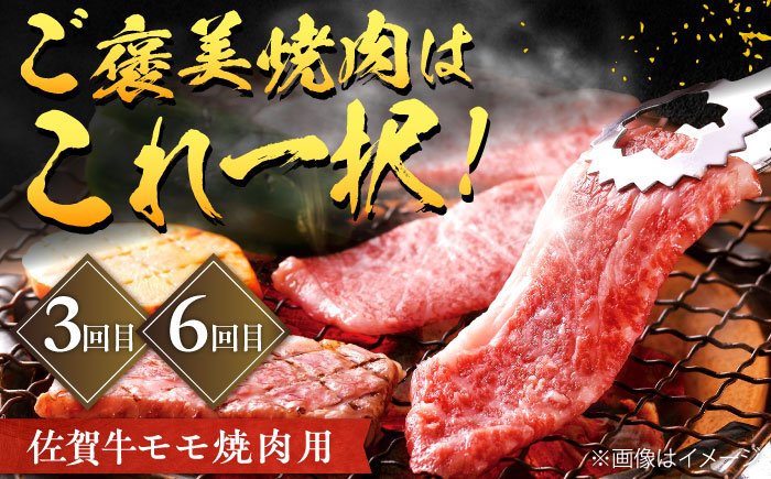 【全6回定期便】佐賀牛 赤身定期便 2～3人前 計2.4kg（ヒレステーキ・モモスライス・モモ焼肉）吉野ヶ里町/やま田商店 [FCH030]