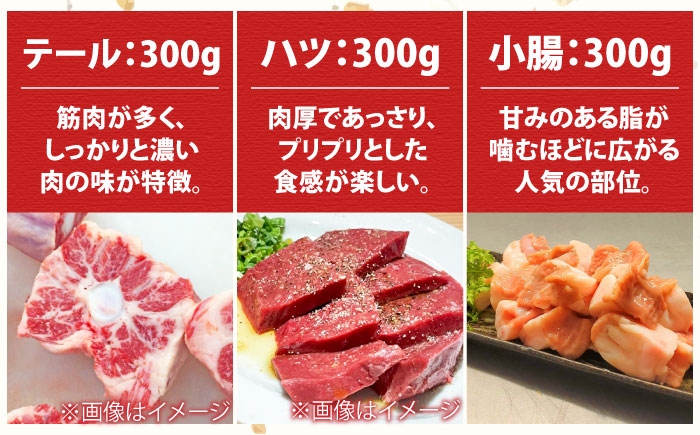 【全3回定期便】佐賀牛6種食べ比べ！ ホルモンバラエティセット 5.4kg 4-5人前 タン・小腸など 吉野ヶ里町/やきとり紋次郎 [FCJ104]