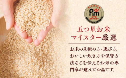 【令和7年産】特A獲得！さがびより玄米3kg 吉野ヶ里町/大塚米穀店 お米[FCW002]