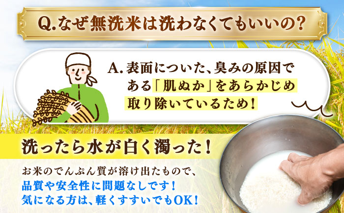 洗米と無洗米の食べ比べ！ さがびより 無洗米 3kg + 洗米 3kg 計6kg 吉野ヶ里町/大塚米穀店 [FCW044]