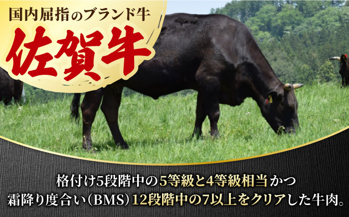 あっさりなのに濃厚！佐賀牛 ランプステーキ 2～3枚 約2人前 合計300g 吉野ヶ里町/NICK’S MEAT ステーキ[FCY003]
