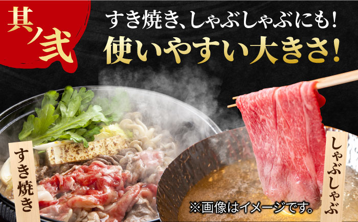 すき焼き しゃぶしゃぶに！佐賀牛 赤身とバラ肉の切り落とし 500g（250g×2P） 吉野ヶ里町/NICK’S MEAT [FCY013]