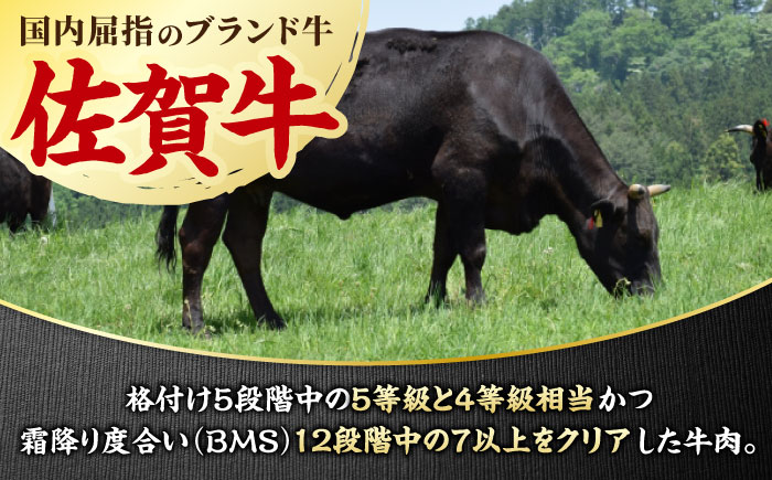 【3回定期便】 佐賀牛 焼肉満喫セット モモ 上カルビ 総計2.7kg 吉野ヶ里町/NICK’S MEAT [FCY035]