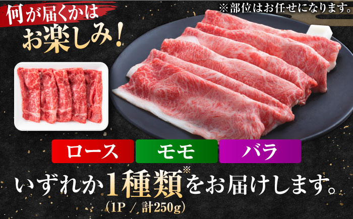艶さし！佐賀牛 しゃぶしゃぶ・すき焼き用 250g ※肩ロース・肩バラ・モモのいずれか1部位※ 吉野ヶ里町 すき焼き[FDB017]