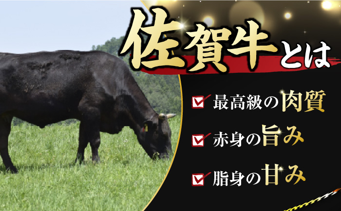 艶さし！ 佐賀牛 ヒレステーキ 300g  （150g×2枚） 吉野ヶ里町 [FDB024]