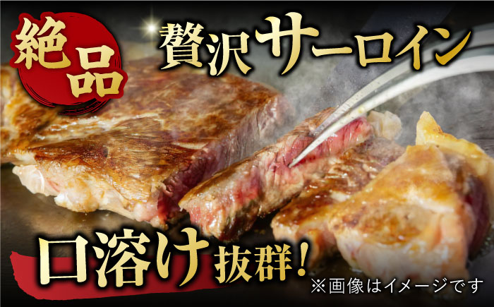 【12回定期便】佐賀牛 ヒレステーキ＆サーロインステーキ 食べ比べ セット 計9.6kg  （ヒレ150g・サーロイン250g×各2枚×12回） 吉野ヶ里町 [FDB038]