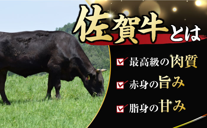 【6回定期便】 艶さし！ 佐賀牛 ヒレステーキ 計1.8kg  （150g×2枚×6回） 吉野ヶ里町[FDB043]