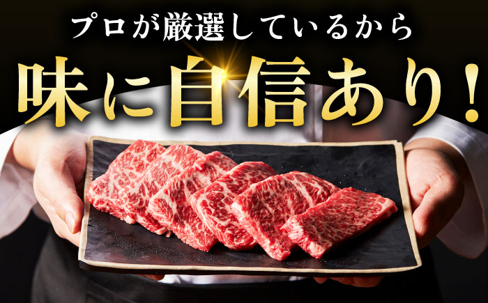 艶さし！【A4～A5】希少部位!佐賀牛おまかせ焼肉6種盛りセット 吉野ヶ里町/株式会社MEAT PLUS [FDB078]
