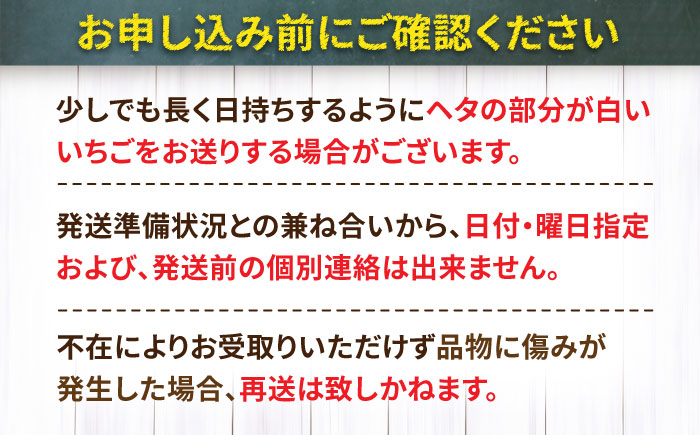 【限定数量/先行予約】【12月以降順次発送】 いちごさん 計1kg以上（約250g×4P） いちご 吉野ヶ里町/TZファーム [FDF001]