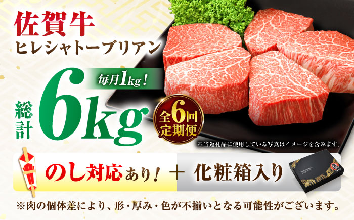 【全6回定期便】佐賀牛 ヒレシャトーブリアン 200g×5枚 吉野ヶ里町/丸宗ミート ステーキ[FDP007]