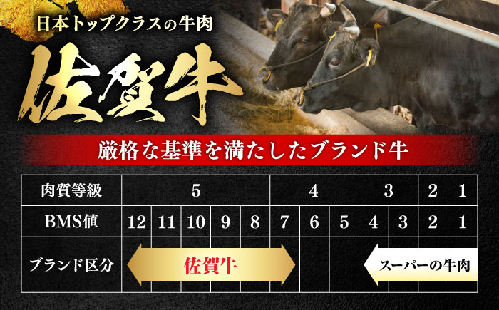 極上 佐賀牛 赤身 A5 希少部位 ステーキ 200g × 4枚 部位おまかせ 吉野ヶ里町/KRAZY MEAT [FDR004]