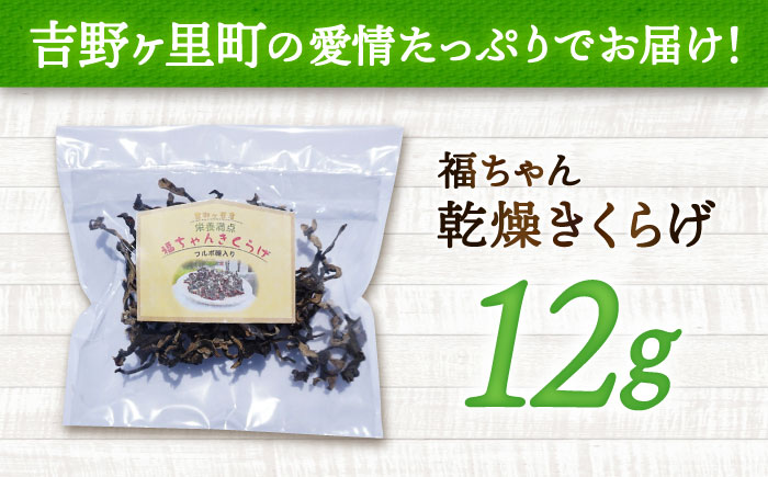 吉野ヶ里産 フルボ酸入り 福ちゃん 乾燥きくらげ 12g きくらげ キクラゲ [FDS001]