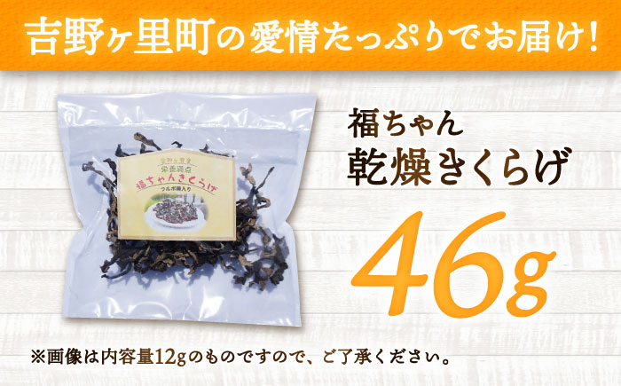 吉野ヶ里産 フルボ酸入り 福ちゃん 乾燥きくらげ 46g きくらげ キクラゲ [FDS002]