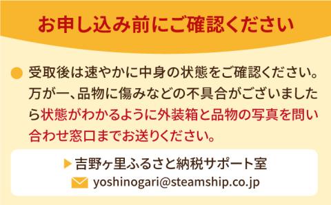 【1月中旬～3月中旬発送】みずみずしい果肉！さがほのか平パック4P 約1kg いちご 佐賀県産 佐賀県 イチゴ パック 吉野ヶ里町/リエンサーク [FCC002]