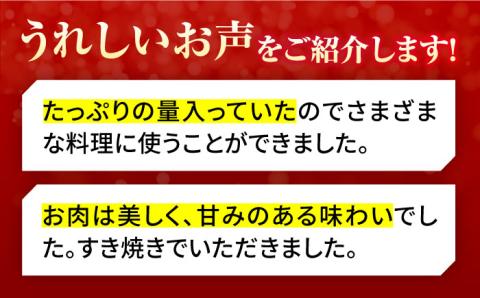 【全6回定期便】＜ワンランク上の切り落とし＞佐賀牛 A5 ランク切り落とし 1kg（200g×5） 吉野ヶ里町 /meat shop FUKU 黒毛和牛 国産 佐賀県産 A5等級 [FCX009]