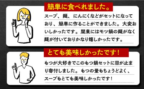 九州産もつ鍋セット(２人分）吉野ヶ里町/三田川ホルモン[FAC002]