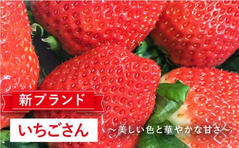 【1月～3月にお届け・3回定期便】さがほのか・いちごさん（1回4P約1kg） イチゴ いちご 苺 フルーツ 果物 佐賀県産 佐賀産 旬 吉野ヶ里町/リエンサーク [FCC005]