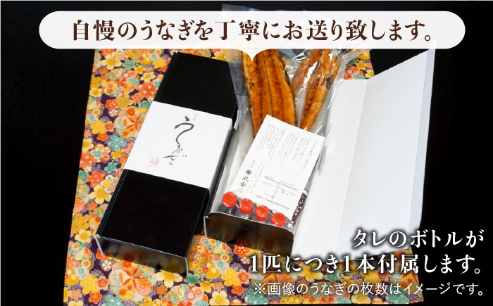 ふっくらジューシーのこだわりうなぎ【6回定期便】国産うなぎ蒲焼 6枚セット×6回【丸安】 [FAD015]