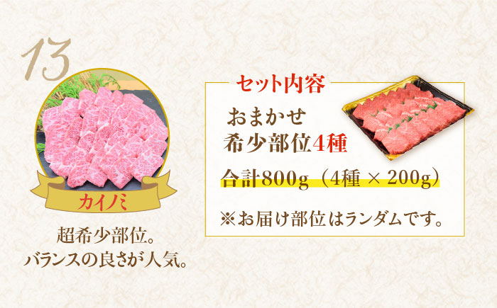 【希少部位で焼肉を堪能！】佐賀牛希少部位おまかせ4種バラエティセット800g（4種×200g）【ミートフーズ華松】 [FAY041]