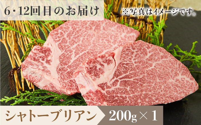 【2026年2月以降発送開始】＜12回定期便＞佐賀牛希少部位～ひとり贅沢ステーキコース～ イチボ/ランプ/ミスジ/クリ/サーロイン/シャトーブリアン【ミートフーズ華松】 [FAY070]