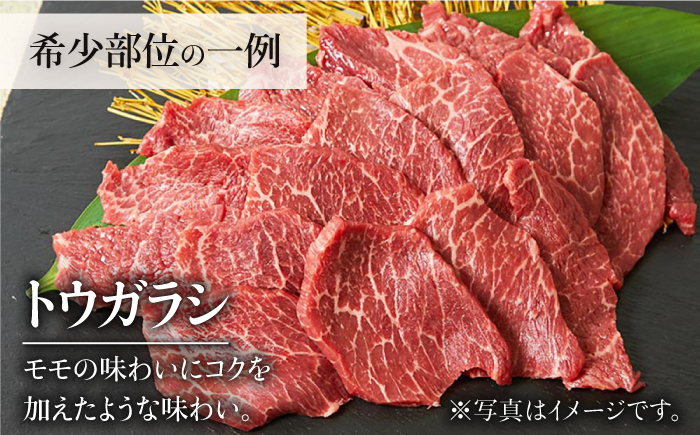 【2026年2月以降発送開始】＜12回定期便＞佐賀牛希少部位含む～ひとり贅沢焼肉コース～ ランプ/クリ/トウガラシ/ザブトン/カイノミなど【ミートフーズ華松】 [FAY073]