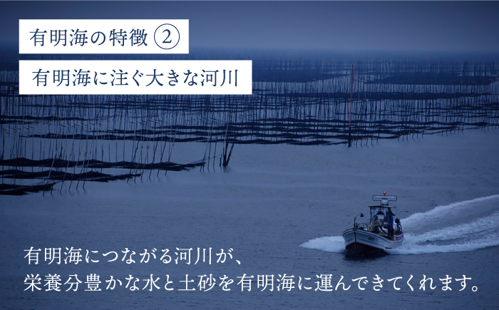 プレミアム佐賀海苔 味付け海苔 5袋詰(10切50枚) 株式会社サン海苔/吉野ヶ里町  のり[FBC021]