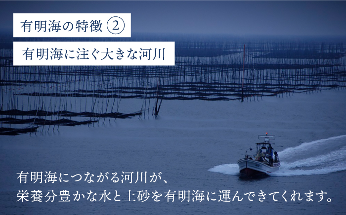 【全3回定期便】プレミアム佐賀海苔 味付け海苔 5袋詰(10切50枚) 株式会社サン海苔/吉野ヶ里町  のり[FBC022]