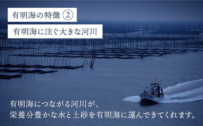 【全6回定期便】プレミアム佐賀海苔 味付け海苔 5袋詰(10切50枚) 株式会社サン海苔/吉野ヶ里町 [FBC023]