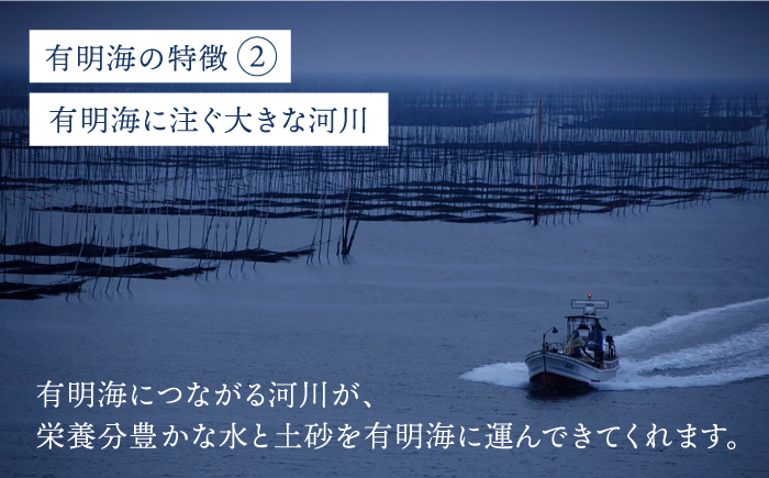 【全6回定期便】＜焼きのり・味付けのり＞佐賀海苔 有明の華 株式会社サン海苔/吉野ヶ里町 [FBC049]