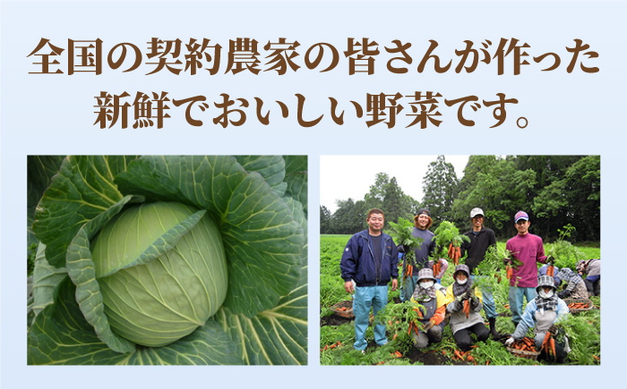 【スピード発送！】リンガーハットのぎょうざ12個×5パック＜全て国産！＞| 餃子 ギョウザ ぎょうざ リンガー リンガーハット 冷凍 国産 |吉野ヶ里町/リンガーフーズ [FBI029]