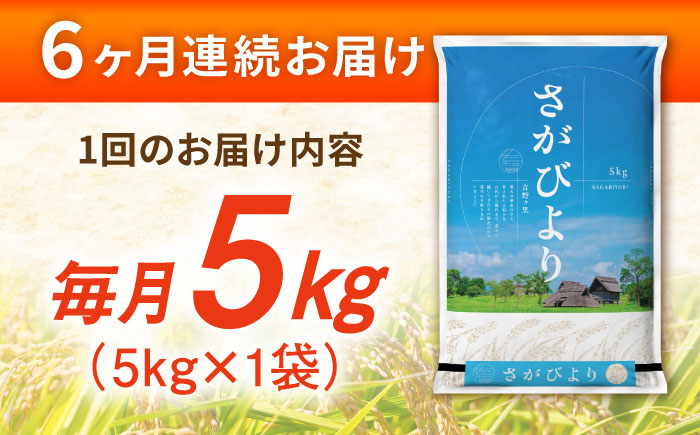 【5kg×6回定期便】【令和7年産】さがびより 計30kg（5kg×6回）吉野ヶ里町/増田米穀 [FBM003]