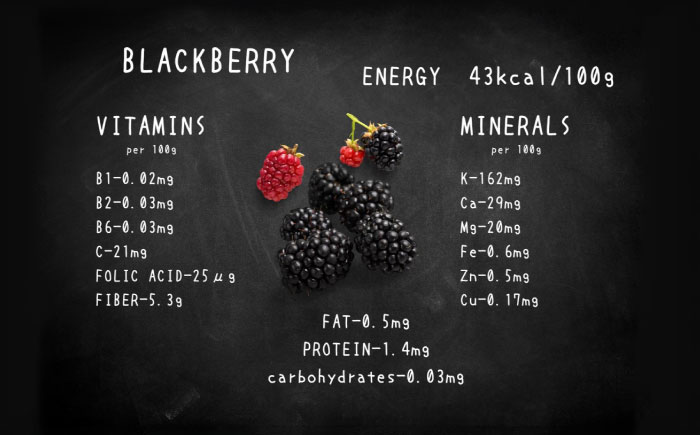 【限定50個】クリスマス限定☆植物性100％ Vegan Raw Cake Double berry（ブルーベリー＆ブラックベリー/Mサイズ）お砂糖・小麦粉・乳製品不使用のスイーツ ヴィーガンローケーキ 【12月20～25日お届け】 吉野ヶ里町/どんどん良くなる [FCF072]