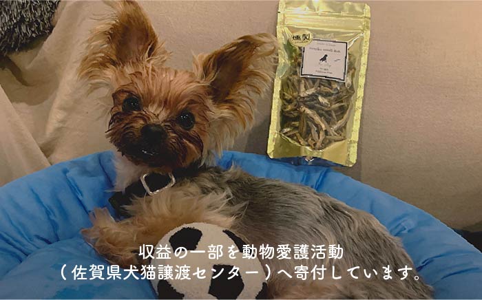 【定期便3回】犬と猫の無添加おやつ☆お塩不使用☆黄金の燻製にぼし【わんこin食堂】 [FCG029]