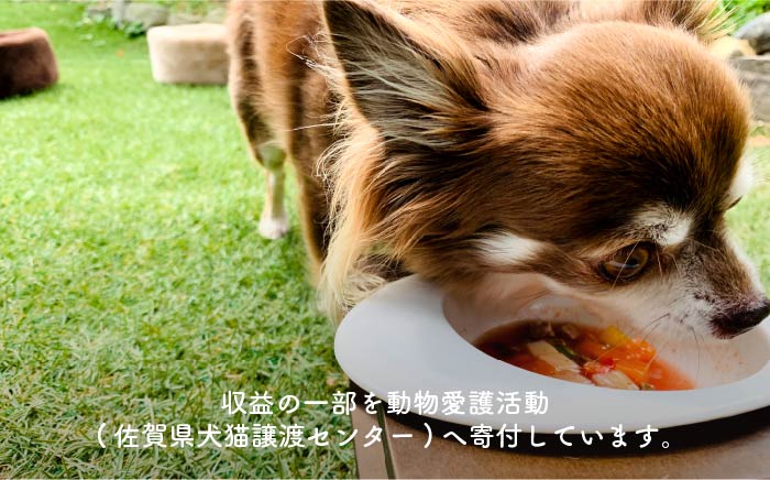 【定期便3回】犬の無添加ごはん☆具だくさんカレー＆クリームシチュー＆ミネストローネ☆スモークソーセージ入り（各2袋・全6袋）【わんこin食堂】 [FCG037]