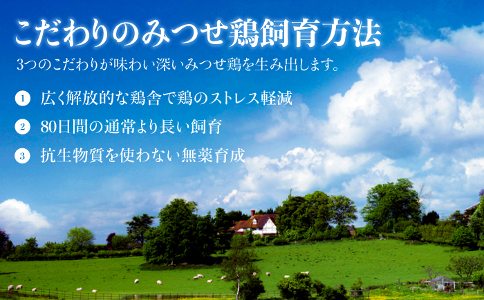 ≪家飲みが充実！≫みつせ鶏焼鳥6種12本＆宅焼鳥ミールキット【炭寅コーポレーション】 [FCI006]