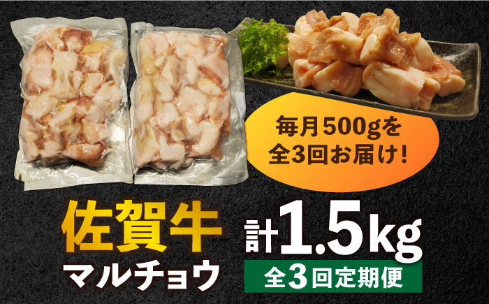【全3回定期便】 【脂が甘くてぷりっぷり！】佐賀牛ホルモン 焼肉用 小腸 計1.5kg（250g/袋）味付けなし 吉野ヶ里町/やきとり紋次郎 [FCJ091]