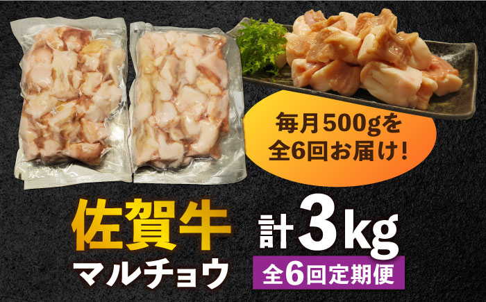 【全6回定期便】 【脂が甘くてぷりっぷり！】佐賀牛ホルモン 焼肉用 小腸 計3kg（250g/袋）味付けなし 吉野ヶ里町/やきとり紋次郎 [FCJ092]