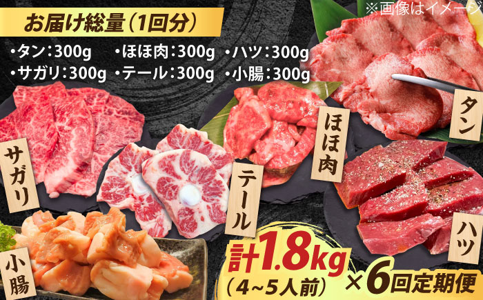 【全6回定期便】佐賀牛6種食べ比べ！ ホルモンバラエティセット 10.8kg 4-5人前  タン・小腸など 吉野ヶ里町/やきとり紋次郎 [FCJ105]