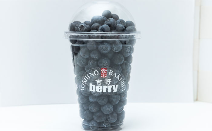 吉野ベリー入場券（1枚） 吉野ヶ里町/吉野麦米 イチゴ狩り ブルーベリー狩り [FCR001]