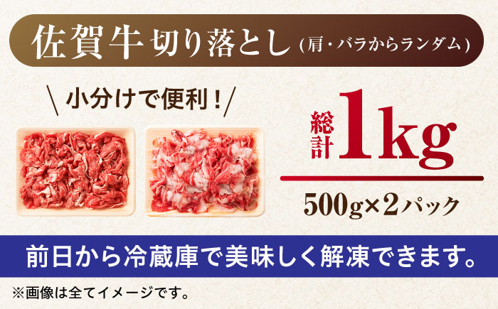 艶さし！ 佐賀牛 切り落とし 肩orバラ 計 1kg （500g ×2）  吉野ヶ里町 [FDB007]