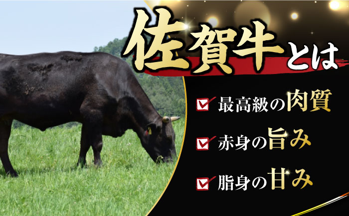 艶さし ！ 佐賀牛 サーロインステーキ 250g （250g×1枚） 吉野ヶ里町 ステーキ[FDB009]