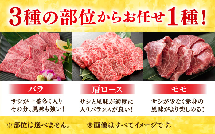 【3回定期便】 艶さし！ 佐賀牛 焼肉用 計1.5kg （500g×3回） ※バラ・肩ロース・モモのいずれかの部位※ 吉野ヶ里町 [FDB033]