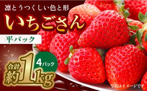 【1月中旬～2月中旬発送】やさしい味わい！いちごさん 平パック×4P 約1kg いちご イチゴ 佐賀県産 佐賀県 佐賀 パック 吉野ヶ里町/リエンサーク [FCC003]