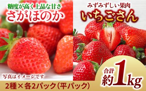 【1月中旬～2月中旬発送】佐賀県自慢の2種！さがほのか＆いちごさん 平パック4P 約1kg いちご 果物 旬 イチゴ 苺 フルーツ 佐賀県産 佐賀産 佐賀 吉野ヶ里町/リエンサーク [FCC004]