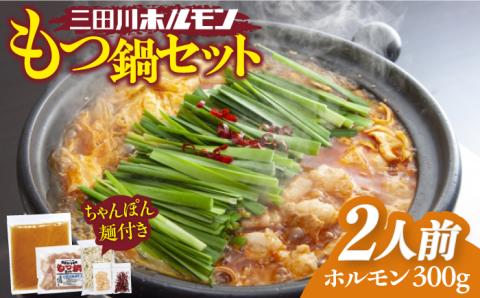 九州産もつ鍋セット(２人分）吉野ヶ里町/三田川ホルモン[FAC002]