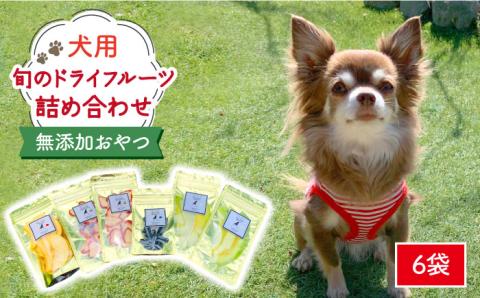 犬の無添加おやつ☆お砂糖不使用 旬のドライフルーツおまかせ6袋  吉野ヶ里町[FCG022]